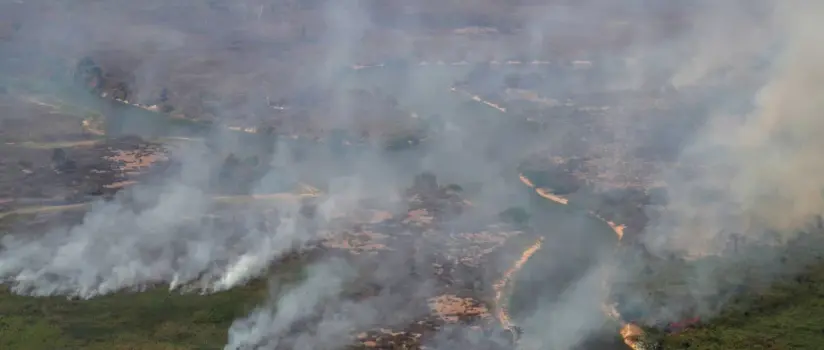 Frequência de desastres por incêndios florestais dispara no mundo, mostra estudo