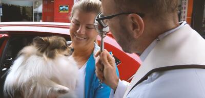 Curitiba recebe evento da Bênção dos Animais com atrações e atividades gratuitas