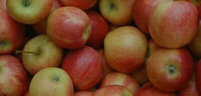 Brasil busca abrir mercados asiáticos para maçã