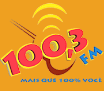 Logo da rádio 100,3 FM
